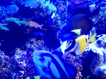 2012-12-25 11.16.51jpg.jpg