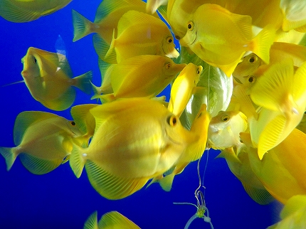 2012-12-25 11.19.43jpg.jpg