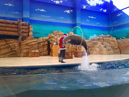 2012-12-25 11.38.20jpg.jpg