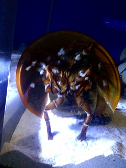 2012-12-25 12.13.15jpg.jpg