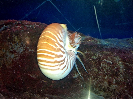 2012-12-25 12.13.59jpg.jpg