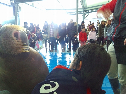 2012-12-25 13.49.46jpg.jpg