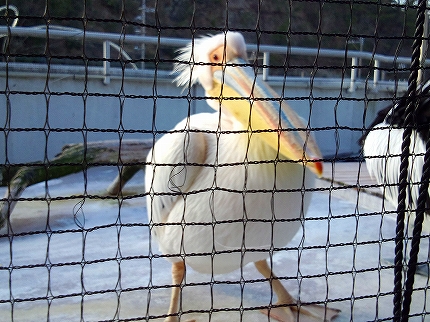 2012-12-25 13.59.16jpg.jpg