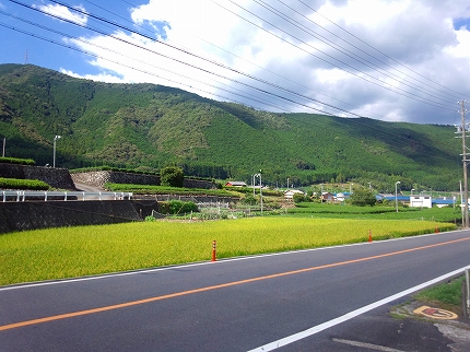 2013-08-27 蓮ダム (1)jpg.jpg