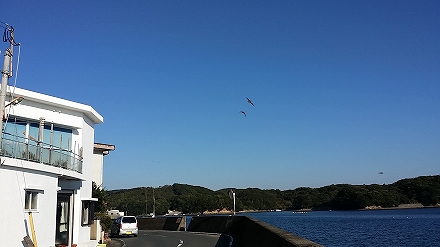 2014-11-19 08.57.52jpg.jpg