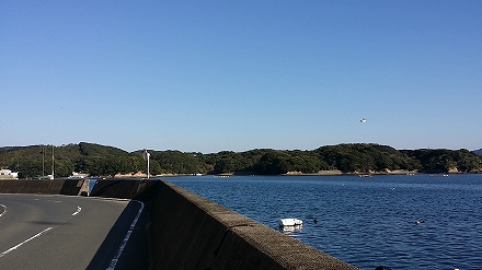 2014-11-19 08.58.02jpg.jpg