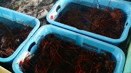 2015-10-15 08.50.21jpg.jpg