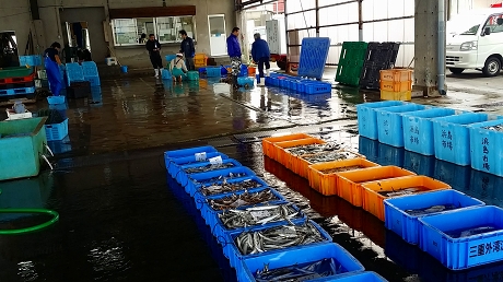 2015-10-15 08.55.44jpg.jpg