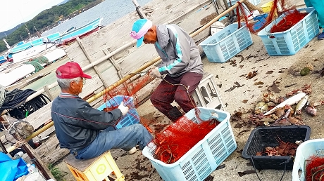 2015-10-15 09.06.42jpg.jpg