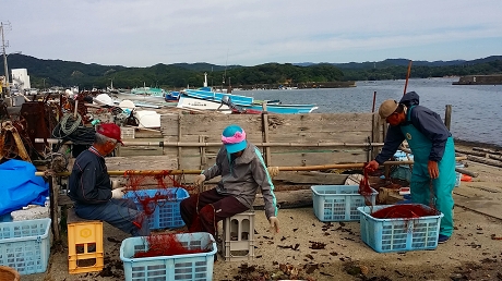 2015-10-15 09.07.09jpg.jpg