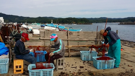 2015-10-15 09.07.13jpg.jpg