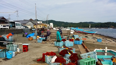 2015-10-15 09.15.18jpg.jpg