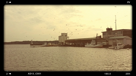 2015-10-15 09.17.47-1jpg.jpg